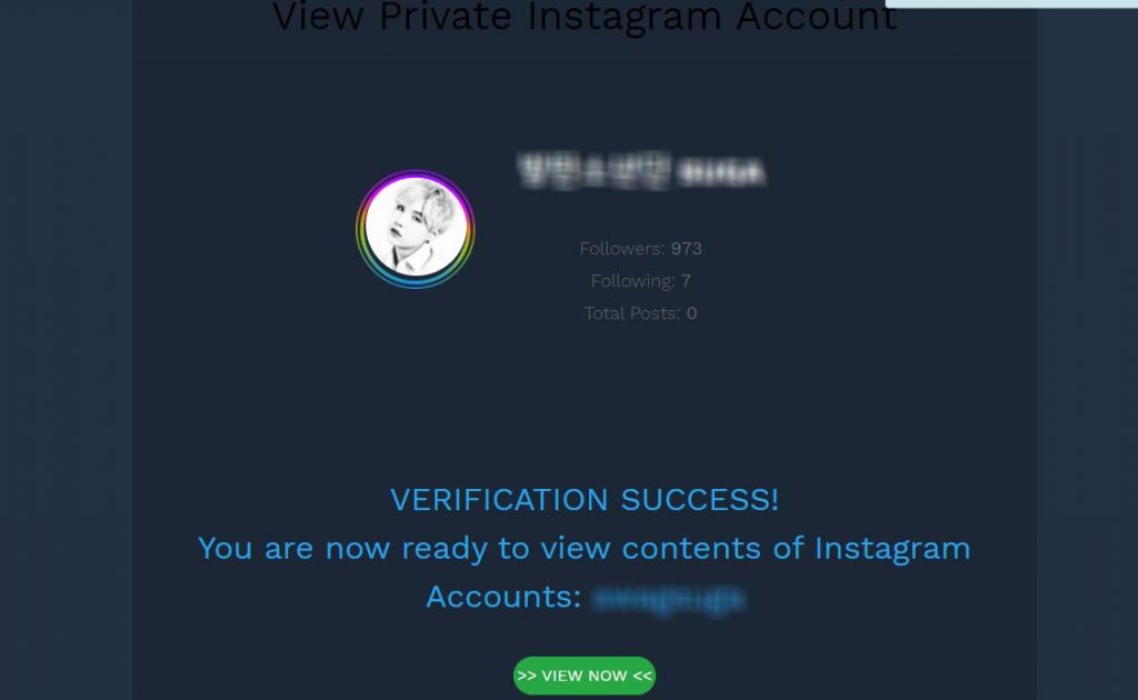 Instaggram Private Accounts Viewer Success